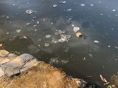 -湾里人家(旺山景区店)