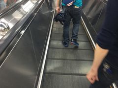 -范湖(地铁站)