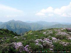 -永州阳明山国家森林公园