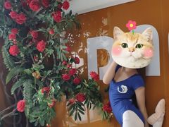 -陕西省小天鹅艺术团