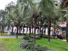 -西南交通大学(九里校区)