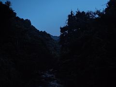 -梧桐山风景名胜区