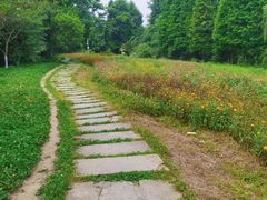 -桤木河湿地公园