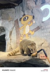 -Zoolung Zoolung动物主题公园(海信广场店)