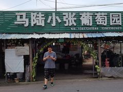 -马陆小张葡萄园农家乐