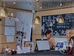 -瞄一喵猫咖(格力海岸店)