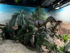 -国家自然博物馆