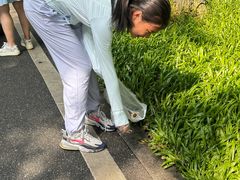 -海珠湖公园