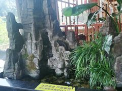 -老唐三下锅 ·张家界地标美食(溪布街店)