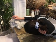 -小时光咖啡馆(北锣鼓巷店)