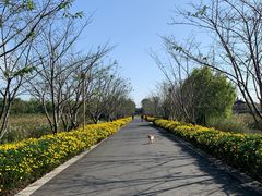 -长田漾湿地公园