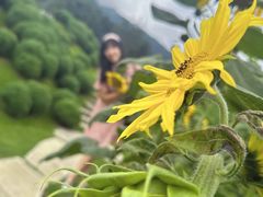 -云禾壹海景庄园餐厅