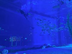 -前王院•巧克力海鲜市集餐厅(万平口店)