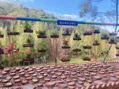 -神光山国家森林公园