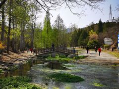 -白水寺森林公园