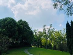 -复旦大学江湾校区食堂