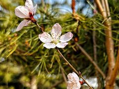 -北京西山国家森林公园