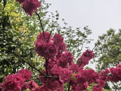 -圩墩遗址公园