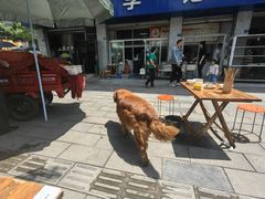 -大邑李记肥肠血旺