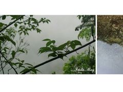 -宁波五龙潭景区