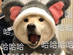 -星乐汇量贩式KTV(中冶祥腾城市广场店)