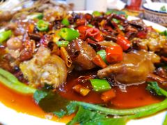 麻辣美容蹄-老姑砂锅·烧烤天津菜(体北道店)