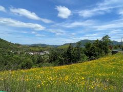 -天姥山景区