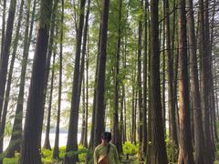 -东湖落雁景区