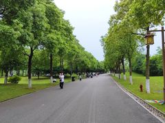 -洋湖国家湿地公园