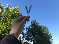 -中家鑫园温泉酒店鑫悦汤泉