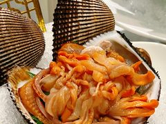 -喜聚薈·花膠雞海鮮火鍋(越秀店)