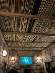 -翱翔飞越地平线