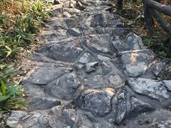 -梧桐山风景名胜区