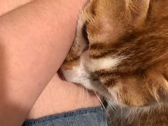 -宠颐生汉谟拉比宠物医院