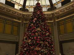 门面-上海和平饭店-华懋阁 The Cathay Room