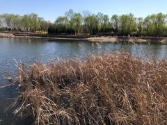 -永定河休闲森林公园