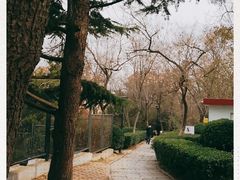 -观象山公园
