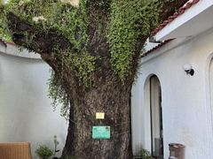 -澳门圣地牙哥古堡酒店