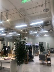 -P.STYLE派斯造型