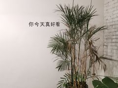 -有猫主题·治愈系猫咖(曾厝垵店)
