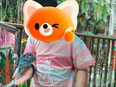 -正佳雨林生态植物园