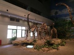 -自贡恐龙博物馆