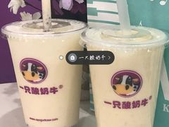-一只酸奶牛(八一路店)