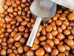 栗子-优农果园(苹果园店)