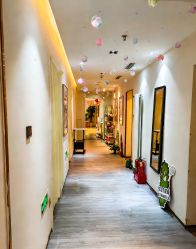 -紫琪尔·匠心连锁·胸部护理养护