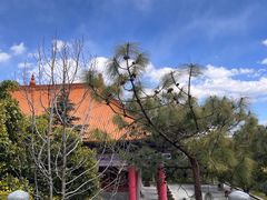 -崇圣寺三塔文化旅游区