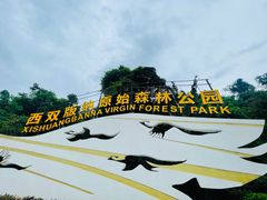 -西双版纳原始森林公园