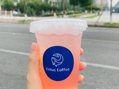 -Cetus coffee鲸鱼座咖啡·拼豆(二仙桥公园店)