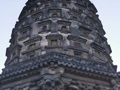 -云岗森林公园