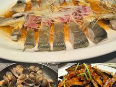 -1937青岛老味道·海肠捞饭·青岛菜(大鲍岛栈桥店)